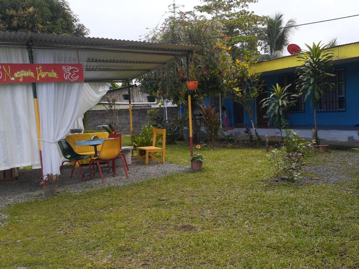 Rooms Palmeras Cahuita Kültér fotó