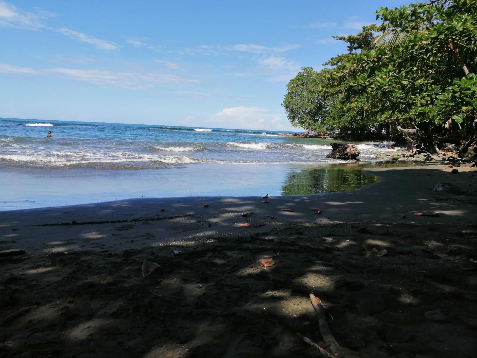 Rooms Palmeras Cahuita Kültér fotó