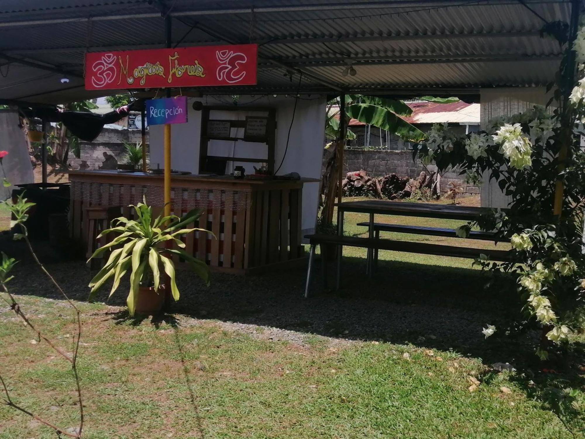 Rooms Palmeras Cahuita Kültér fotó